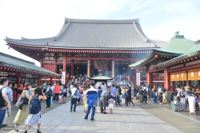 DSC_3471 (Large).JPG